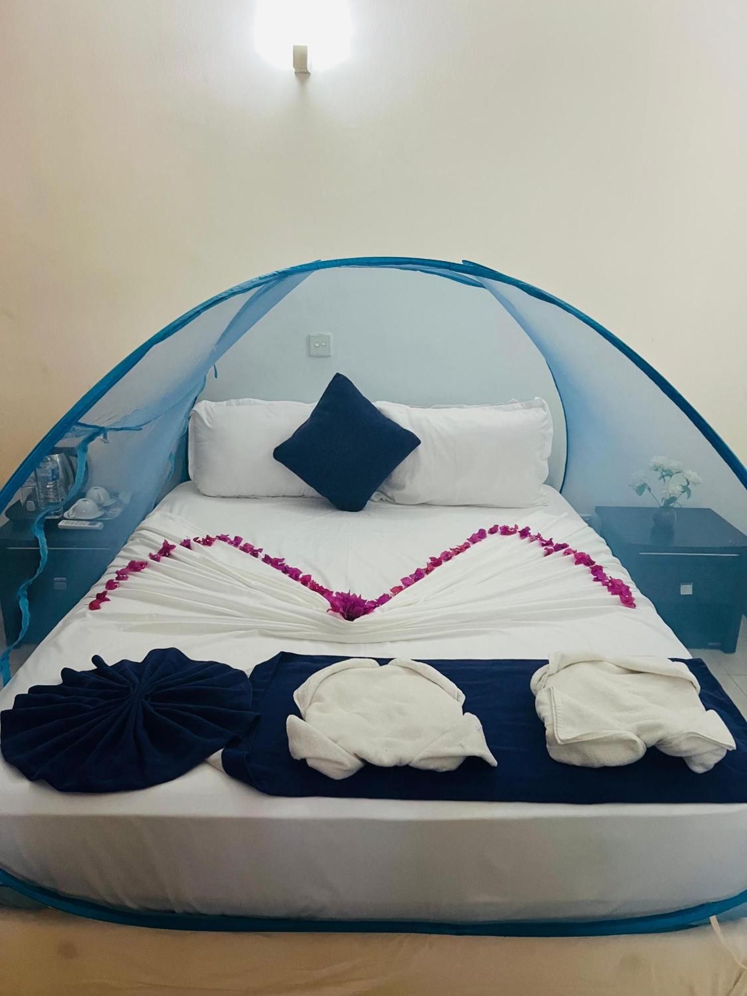 Ocean Beauty Guest House Negombo Dış mekan fotoğraf